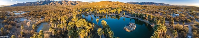 birds eye view of property featuring a water and mountain view