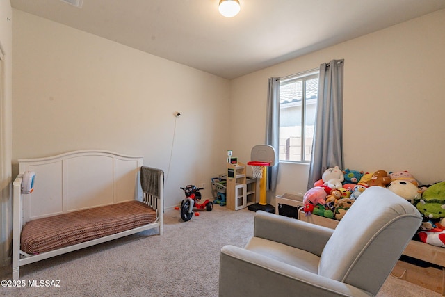 bedroom with carpet flooring