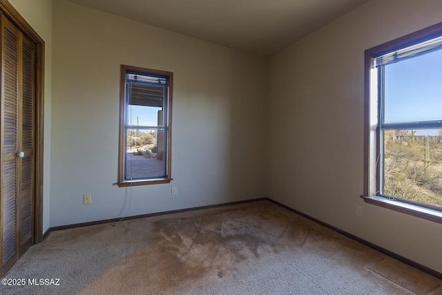 spare room with carpet floors