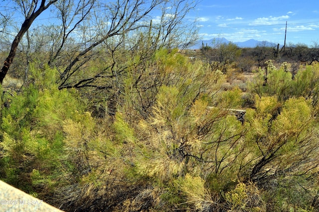 view of local wilderness with a mountain view