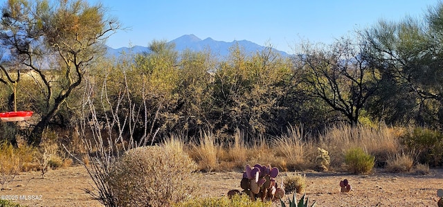 view of mountain feature