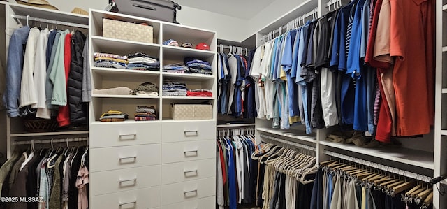 view of spacious closet