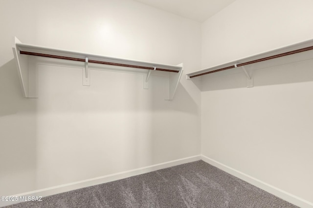 walk in closet featuring carpet