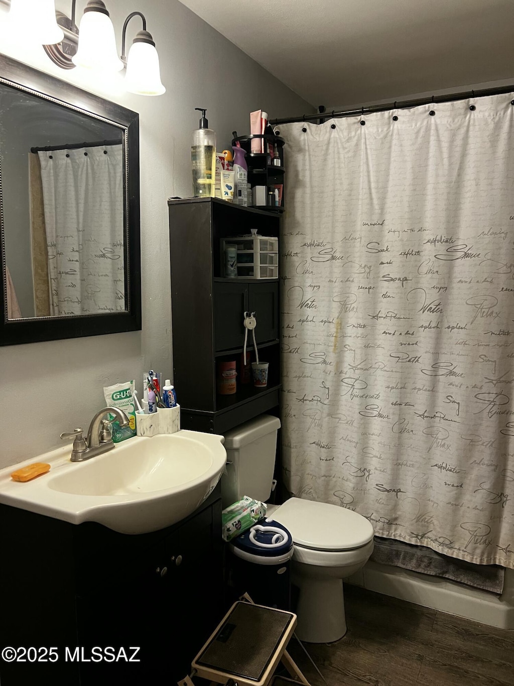 bathroom with vanity, hardwood / wood-style floors, and toilet