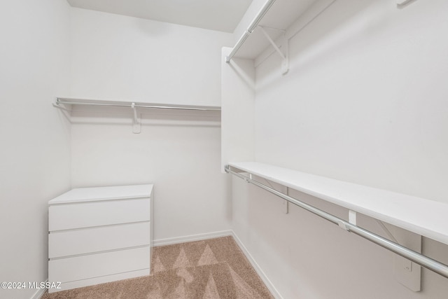 walk in closet featuring light colored carpet