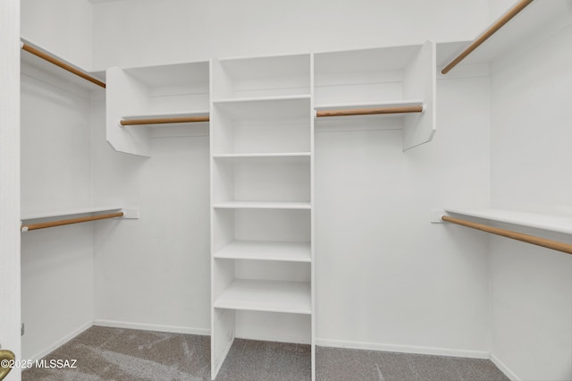 spacious closet featuring carpet floors