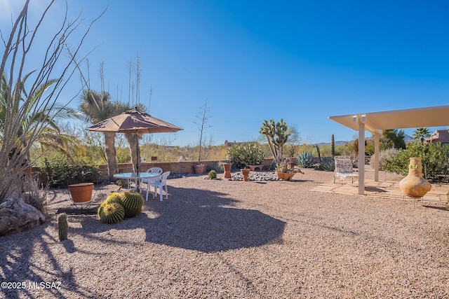 view of yard with a patio