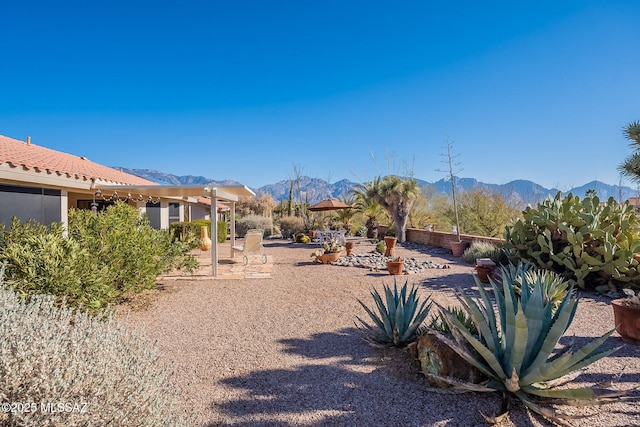 view of yard with a mountain view and a patio