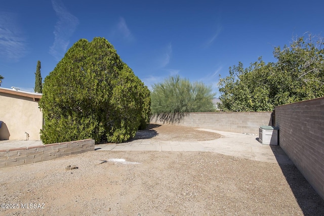 view of yard featuring a patio