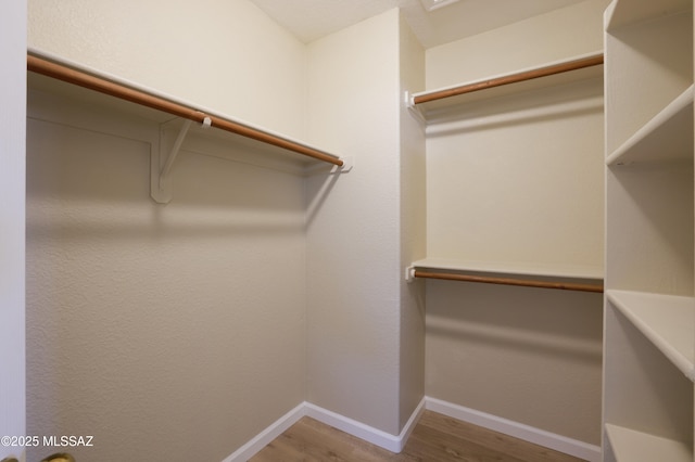 walk in closet with wood finished floors