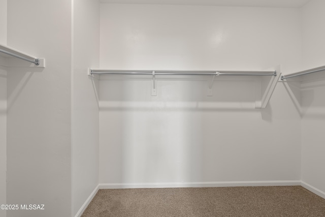 spacious closet featuring carpet floors