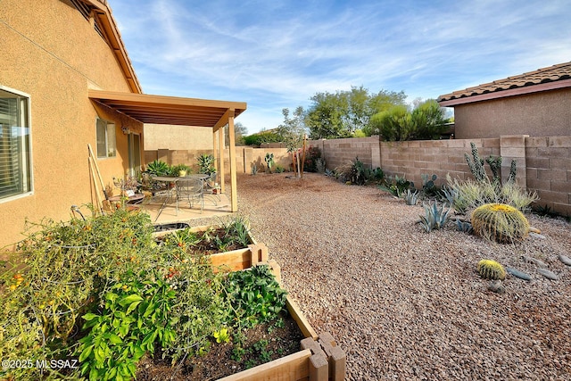 view of yard with a patio area