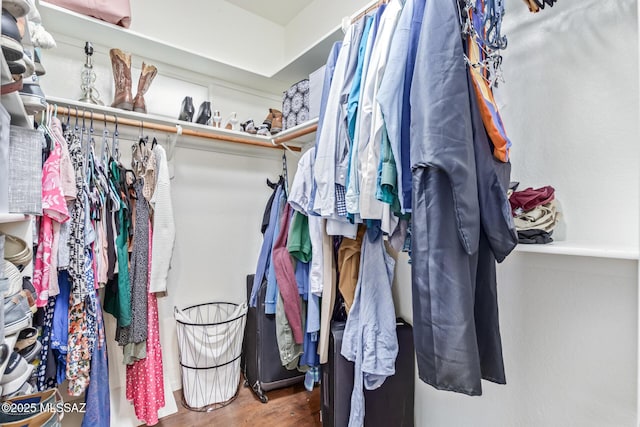 spacious closet with wood-type flooring