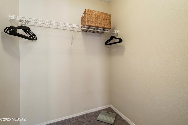 spacious closet with carpet floors