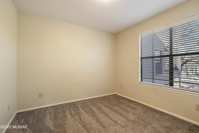 unfurnished room featuring carpet floors