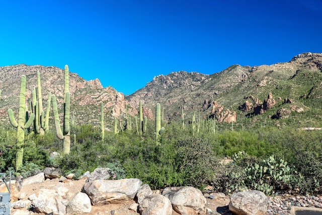 property view of mountains