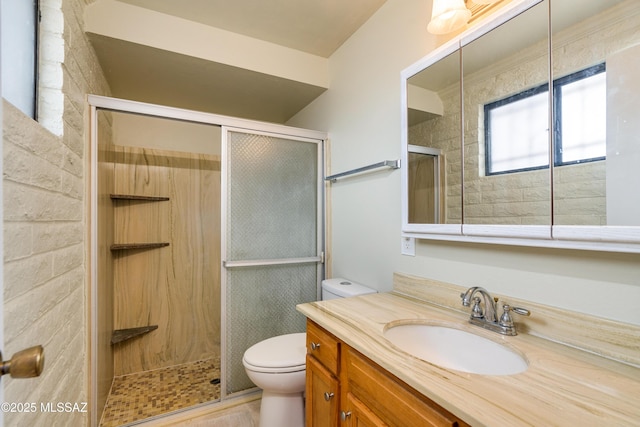 bathroom featuring vanity, a shower with door, and toilet