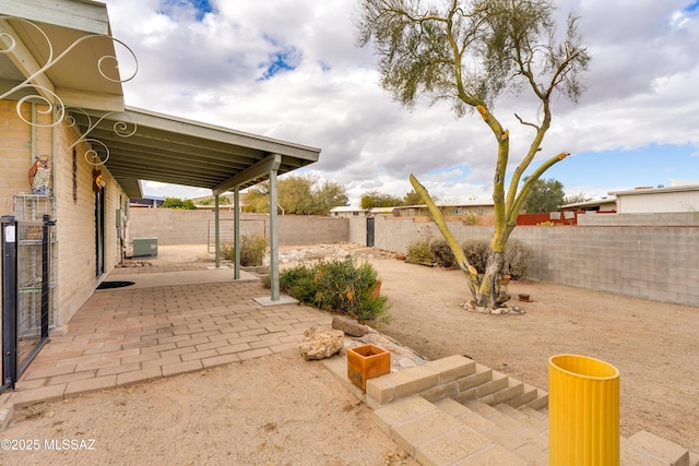 view of yard featuring a patio area