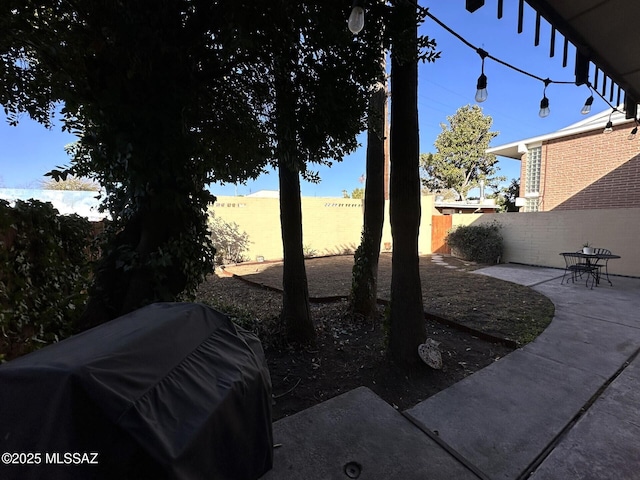 view of yard with a patio area