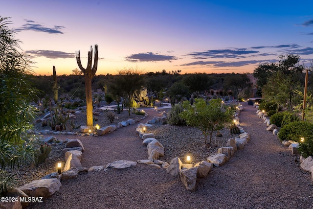 view of yard at dusk