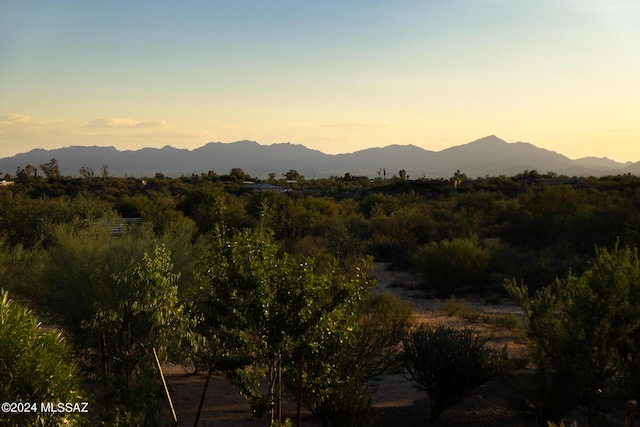 view of mountain feature