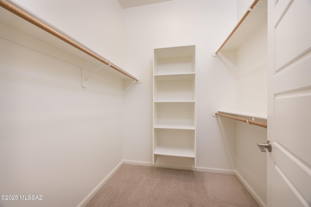 spacious closet with light colored carpet