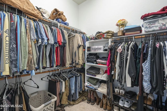 walk in closet featuring carpet floors