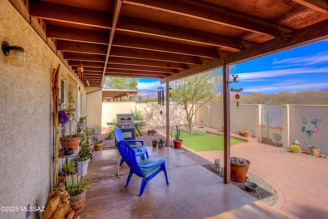 view of patio with area for grilling