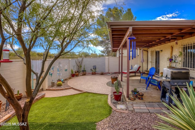 view of yard featuring a patio area