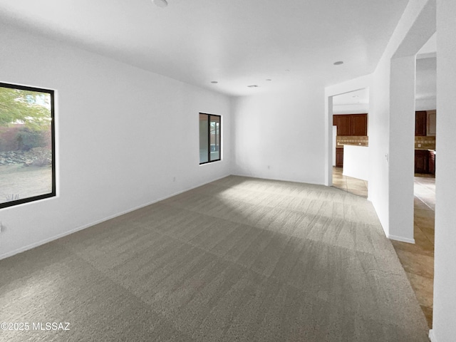 carpeted spare room with a wealth of natural light