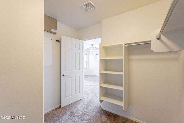 walk in closet featuring carpet floors