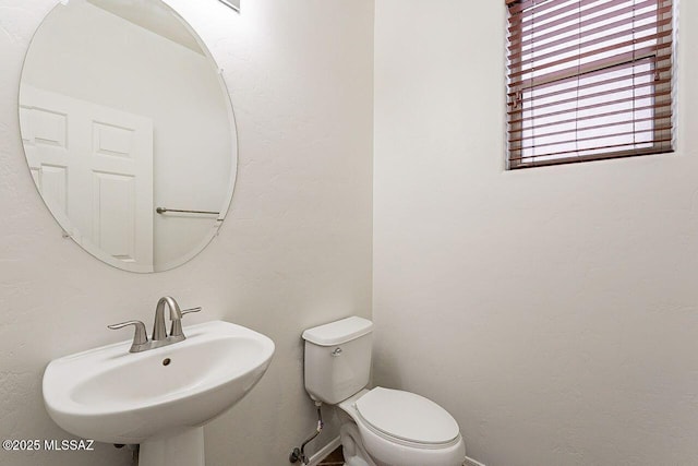 bathroom featuring sink and toilet