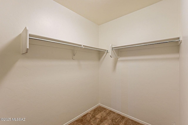 walk in closet with carpet floors