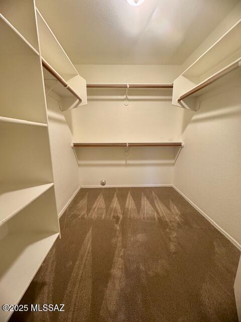 walk in closet featuring dark colored carpet