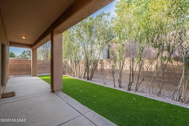 view of yard featuring a patio area