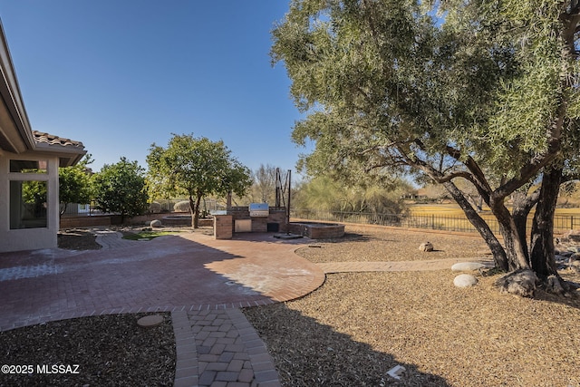 view of yard with a patio and an outdoor kitchen