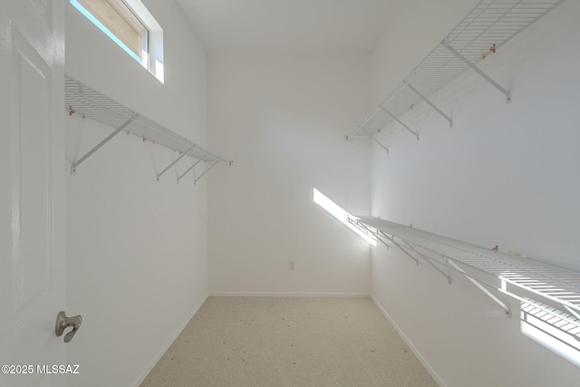 spacious closet featuring carpet floors