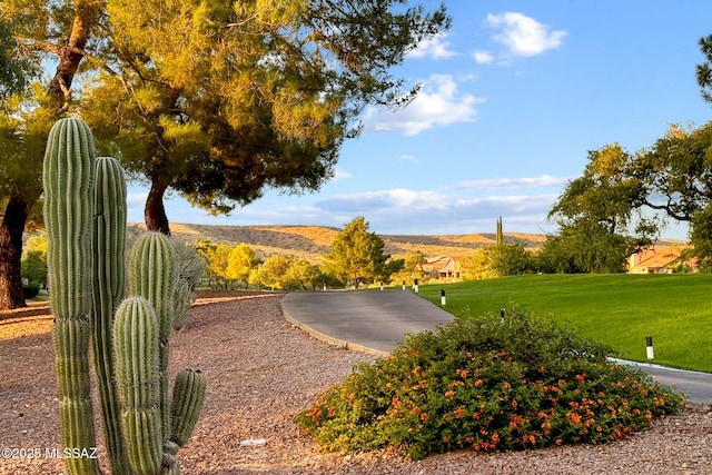 view of yard featuring a mountain view