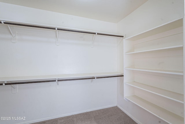 walk in closet featuring carpet flooring