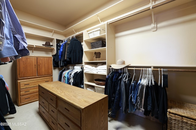 spacious closet featuring light colored carpet