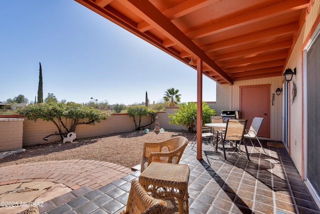 view of patio / terrace with area for grilling