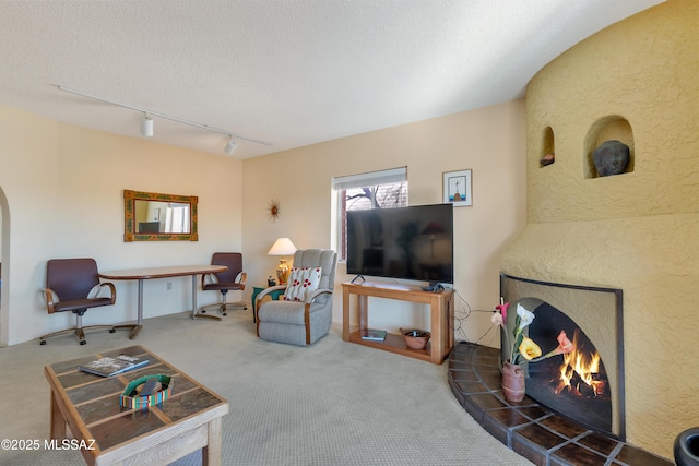 living room with carpet floors, a textured ceiling, and track lighting