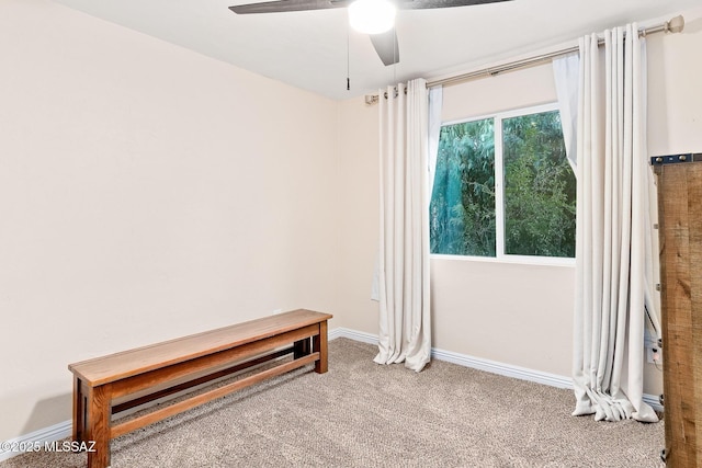 empty room with ceiling fan and carpet floors