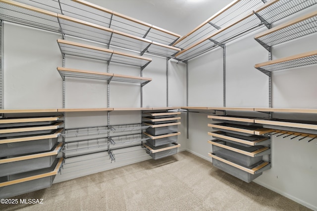 spacious closet with light carpet
