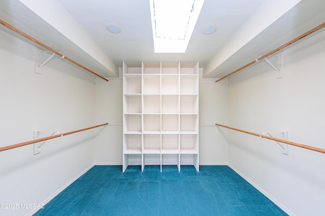 walk in closet with a skylight and carpet floors