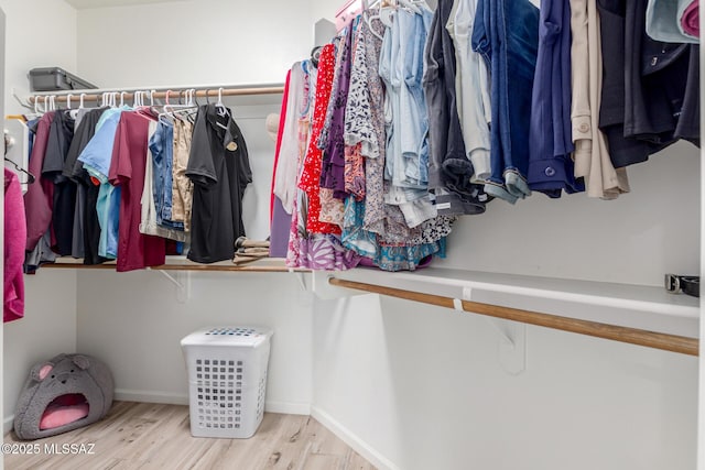 spacious closet with light wood-type flooring