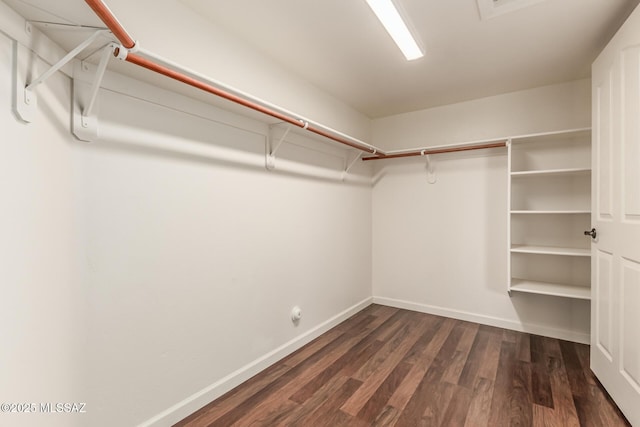 spacious closet featuring dark hardwood / wood-style flooring