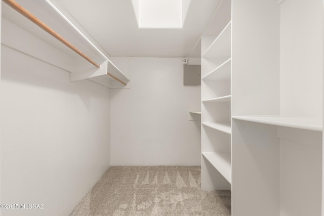 walk in closet with light colored carpet