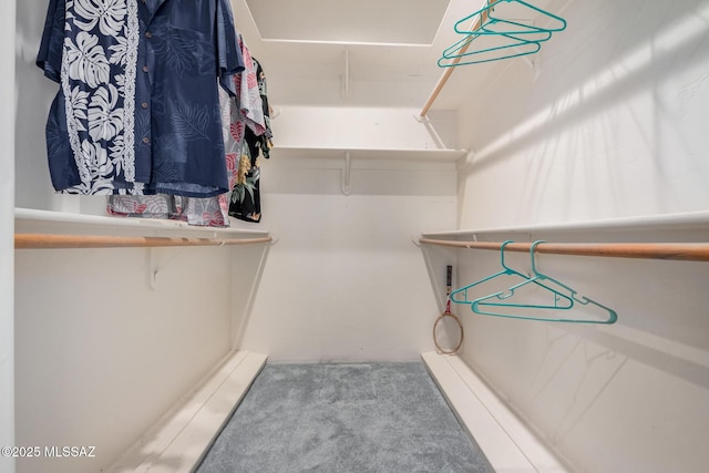 walk in closet featuring carpet flooring