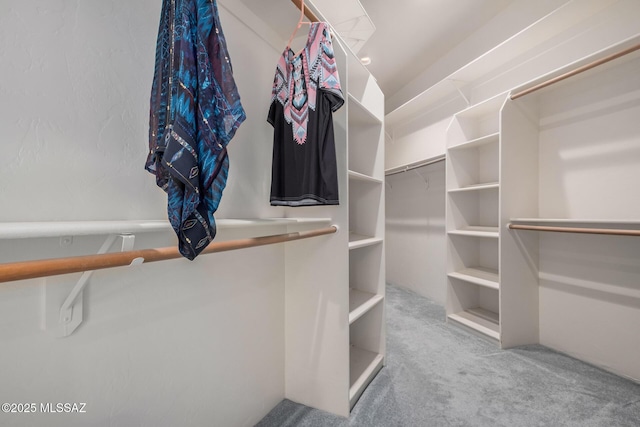 spacious closet featuring carpet flooring